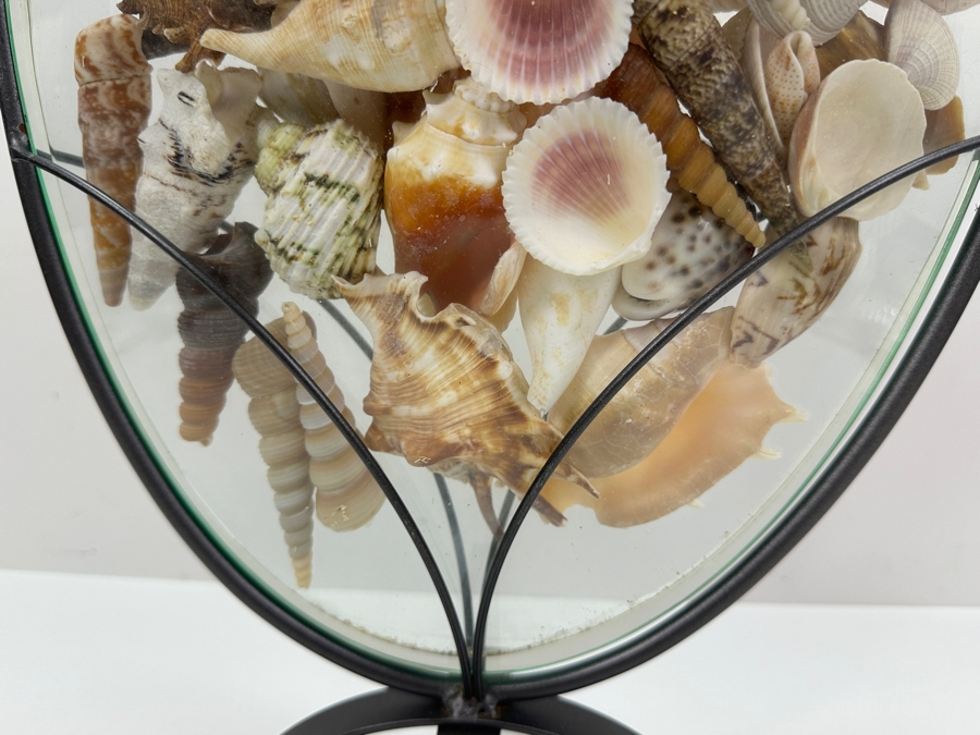 Glass Vase With Metal Stand Filled With Organic Seashells 15.5W X 19H [Photo 10]