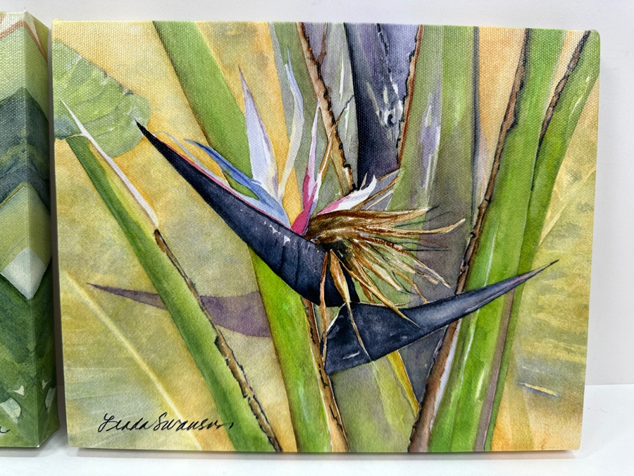 Pair Of Linda Swanson Watercolor Giclee On Canvas Prints Hand Signed On Verso Titled 'Nancy's Bananas' & 'Black Birds Of Paradis' 10 X 8 [Photo 2]