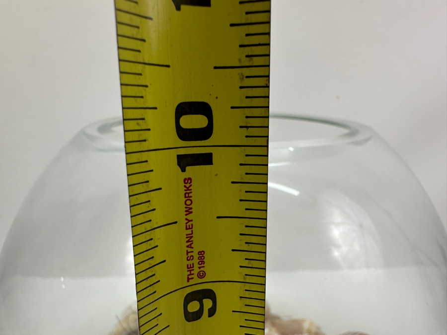 Decorative Glass Bowl with Organic Seashells 10'W X 10'H [Photo 5]