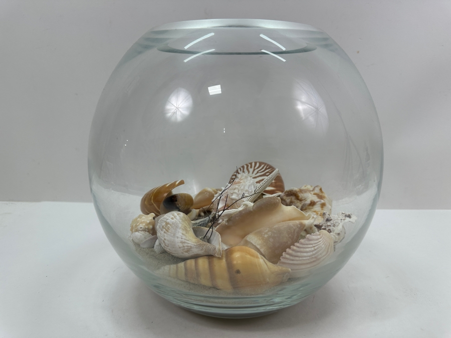 Decorative Glass Bowl with Organic Seashells 10'W X 10'H [Photo 4]