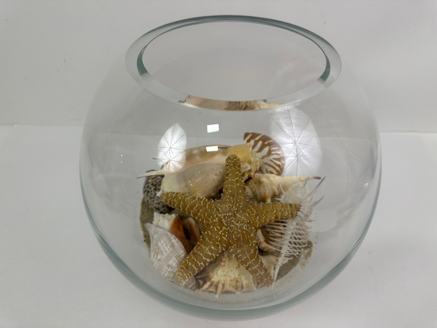 Glass Bowl Filled with Organic Seashells 10' H [Photo 3]