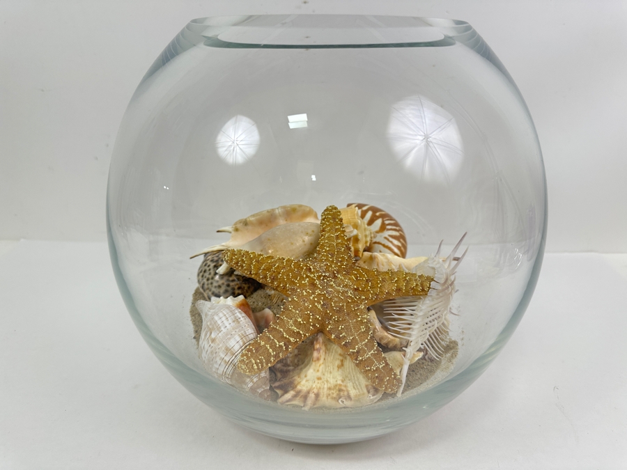 Glass Bowl Filled with Organic Seashells 10' H [Photo 2]