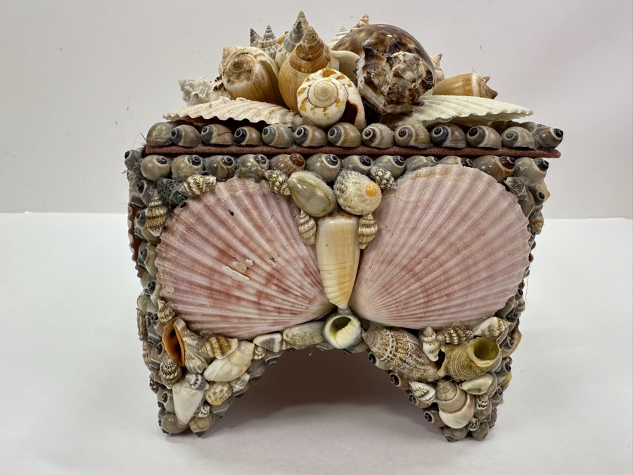 Applied Organic Shell Tissue Box 9W X 6.5D X 7H [Photo 6]