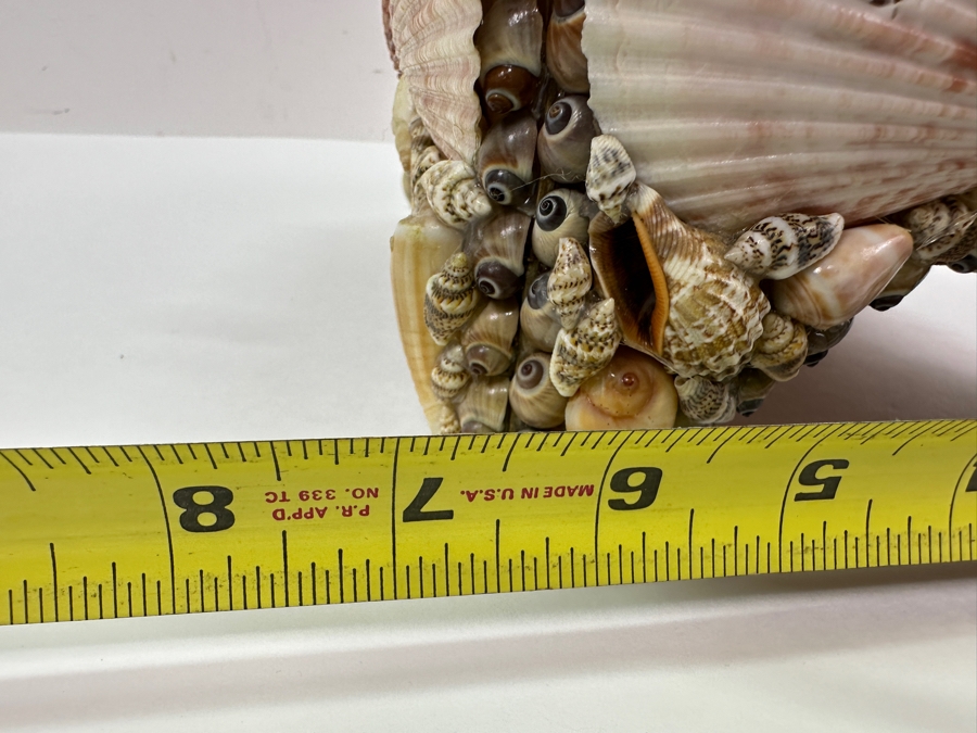 Applied Organic Shell Tissue Box 9W X 6.5D X 7H [Photo 10]