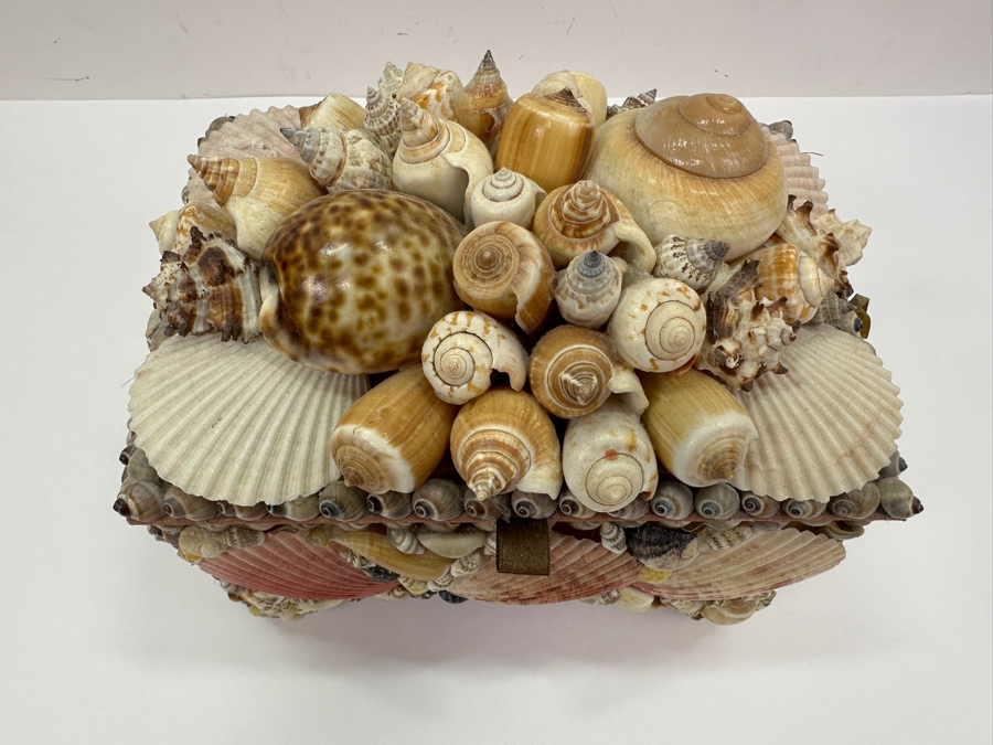Applied Organic Shell Tissue Box 9W X 6.5D X 7H [Photo 3]