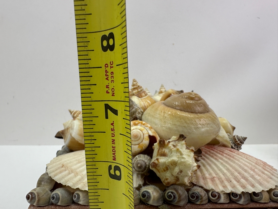 Applied Organic Shell Tissue Box 9W X 6.5D X 7H [Photo 11]