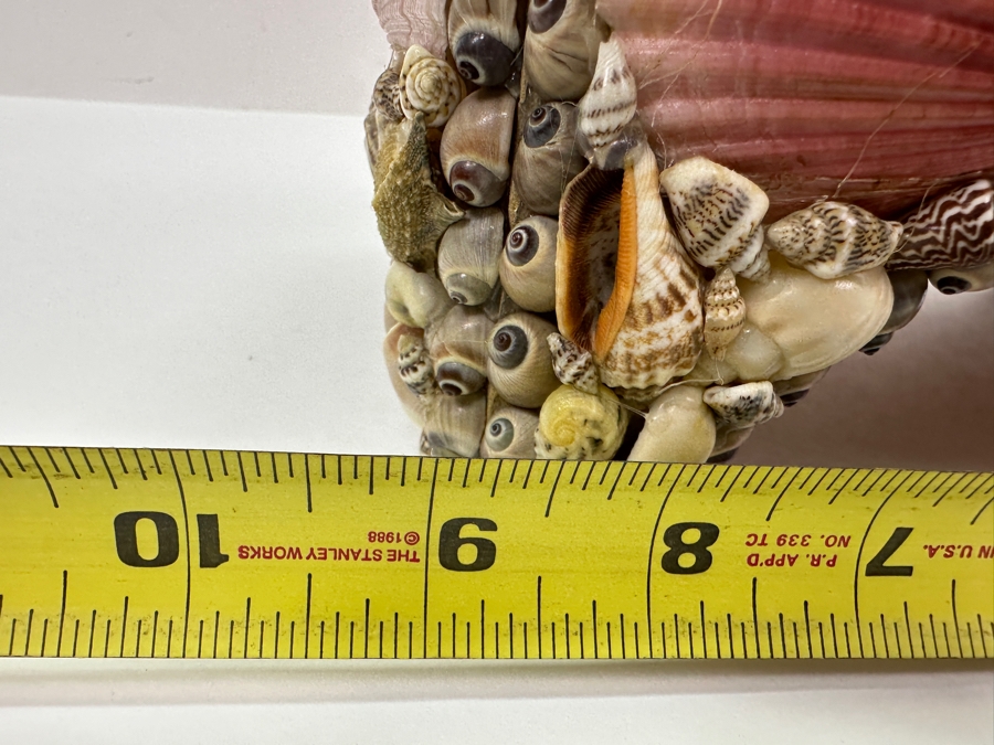 Applied Organic Shell Tissue Box 9W X 6.5D X 7H [Photo 9]