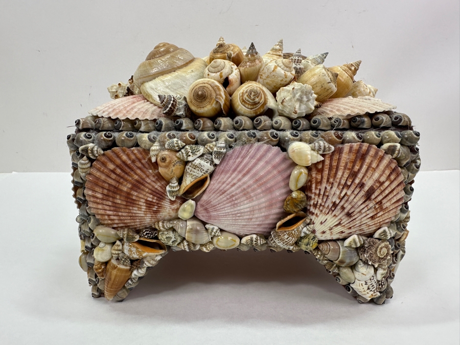 Applied Organic Shell Tissue Box 9W X 6.5D X 7H [Photo 5]