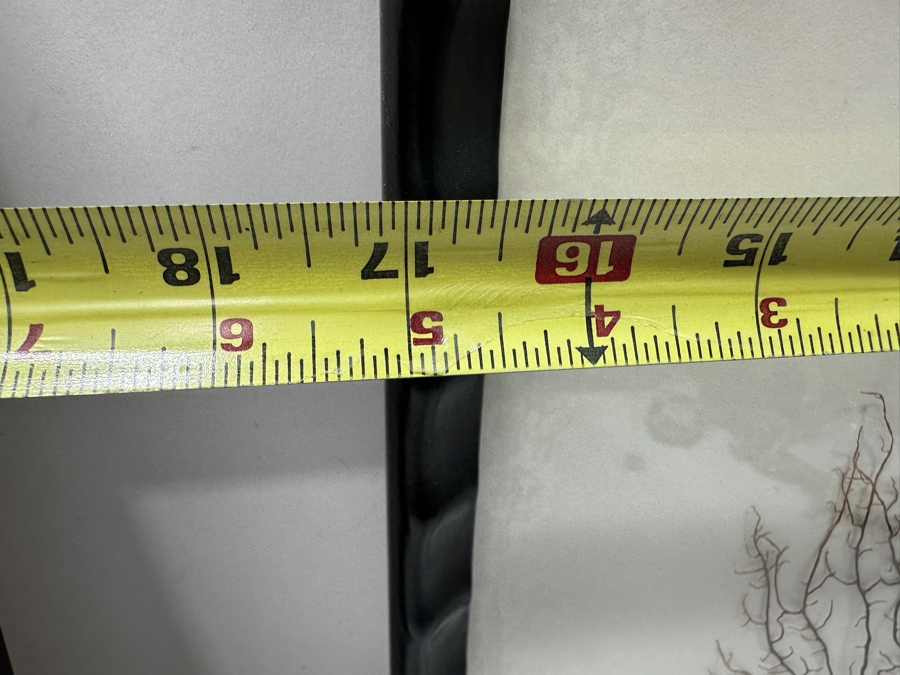 Pair Of Shadowbox Framed Natural Coral Sea Fans Each Frame Measures 17 X 17 [Photo 5]