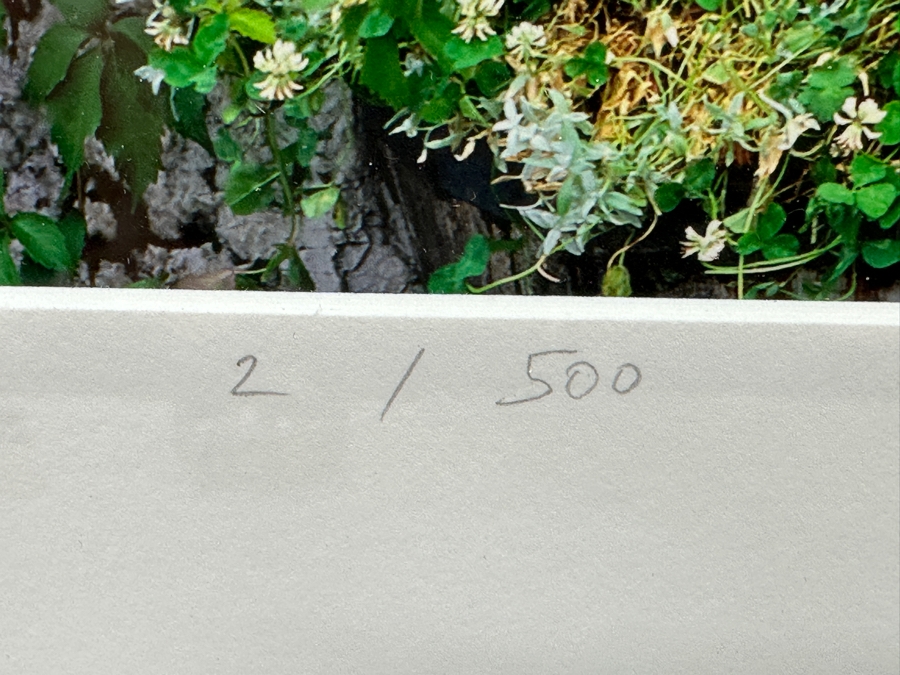 Vern Clevenger Handcrafted Limited Edition Photograph Titled 'Cottage In The Italian Alps' Numbered 2 Of 500 16 X 12 Framed 29.5 X 25.5 Artist Signed Lower Right [Photo 5]