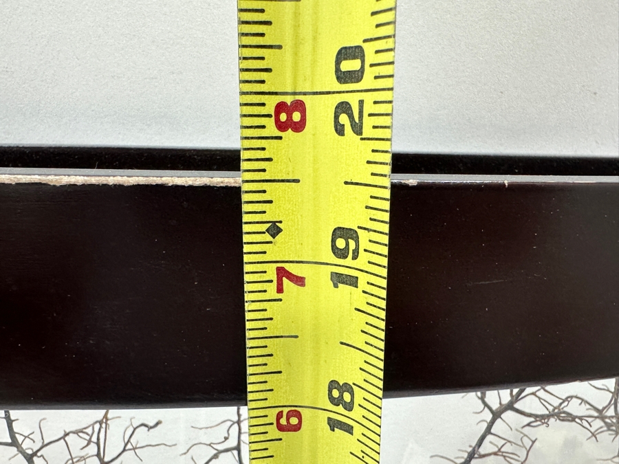 Shadowbox Framed Natural Coral Sea Fan 24 X 19.5 [Photo 7]