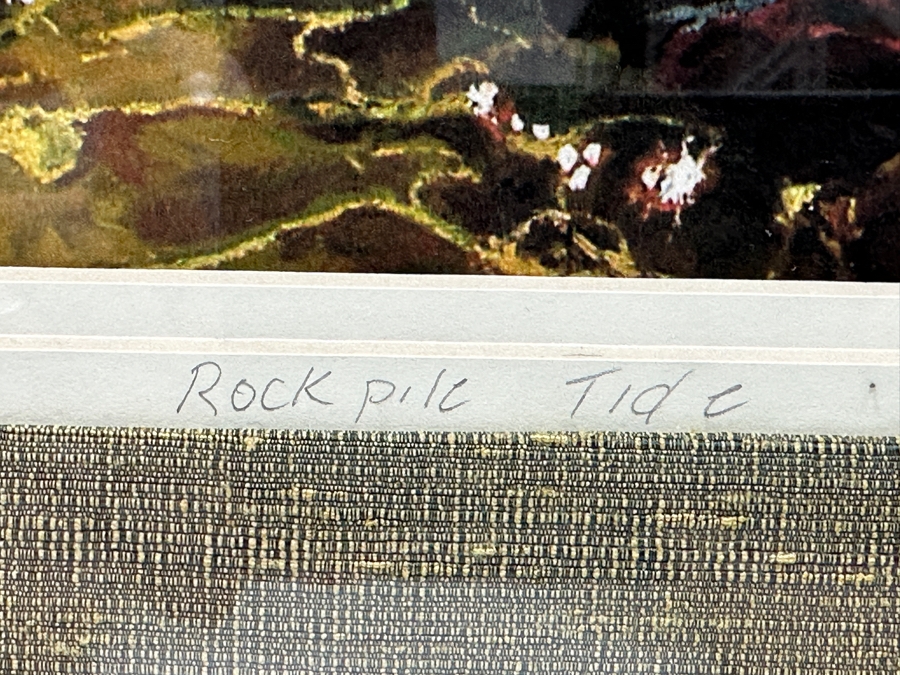 Donita Lloyd (Laguna Beach, CA) Limited Edition Print Titled 'Rockpile Tide' 13.5 X 10 Framed 23.5 X 20 [Photo 3]
