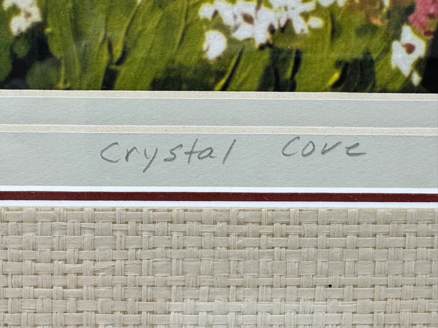 Donita Lloyd (Laguna Beach, CA) Limited Edition Print Titled 'Crystal Cove' 13.5 X 10 Framed 22.5 X 18.5 [Photo 5]