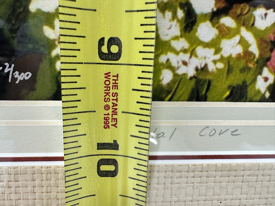 Donita Lloyd (Laguna Beach, CA) Limited Edition Print Titled 'Crystal Cove' 13.5 X 10 Framed 22.5 X 18.5 [Photo 10]