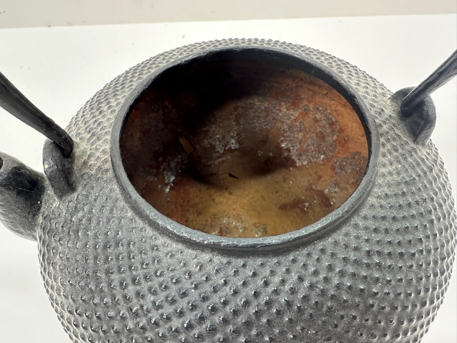Vintage Japanese Cast Iron Kettle Tetsubin 8'H [Photo 4]