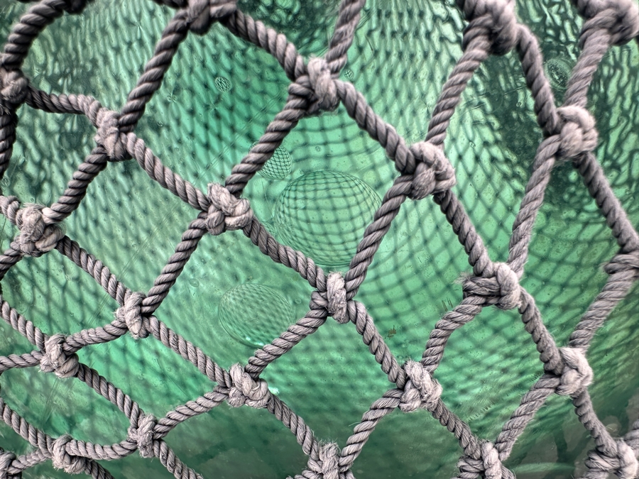 Stunning Large 15'R Japanese Glass Fishing Float With Netting [Photo 2]