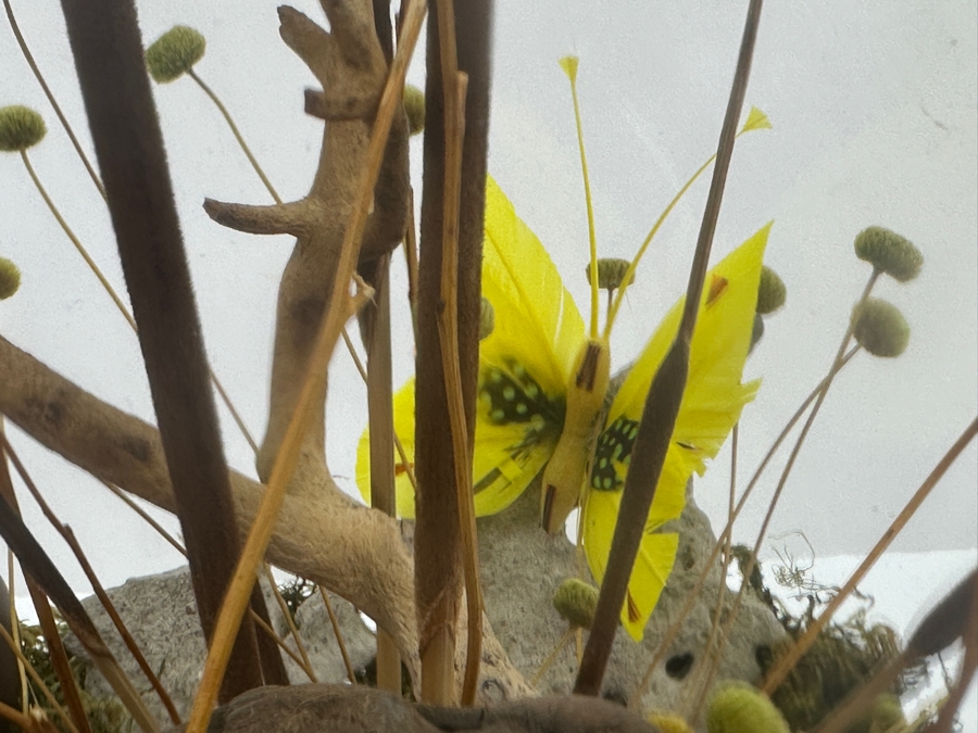 Vintage MCM Large Glass Terrarium 14W X 18H [Photo 8]