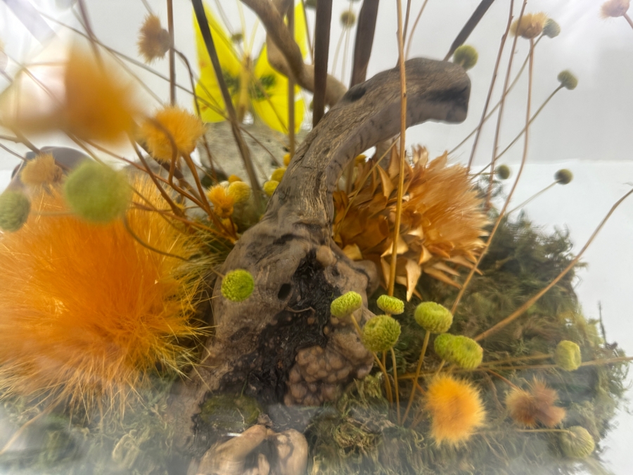 Vintage MCM Large Glass Terrarium 14W X 18H [Photo 5]