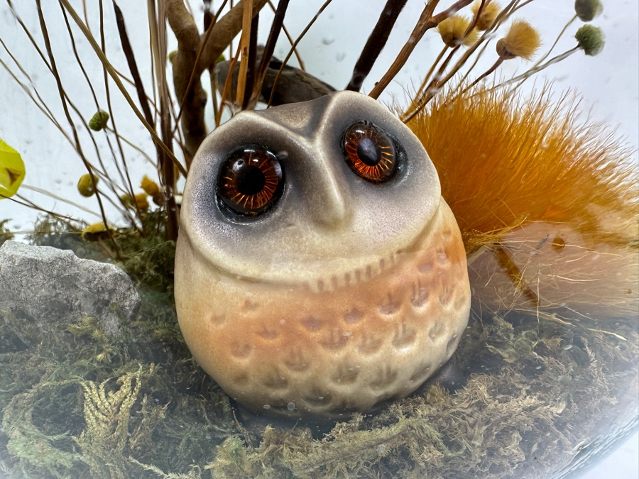 Vintage MCM Large Glass Terrarium 14W X 18H [Photo 2]