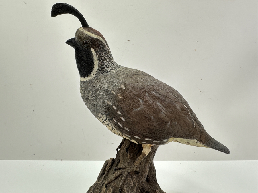 Hand Signed Limited Edition Quail Figurine By Second Nature Design Wildlife Collectibles Artist Signed On Bottom Numbered 43 Of 2,500 10'H [Photo 2]