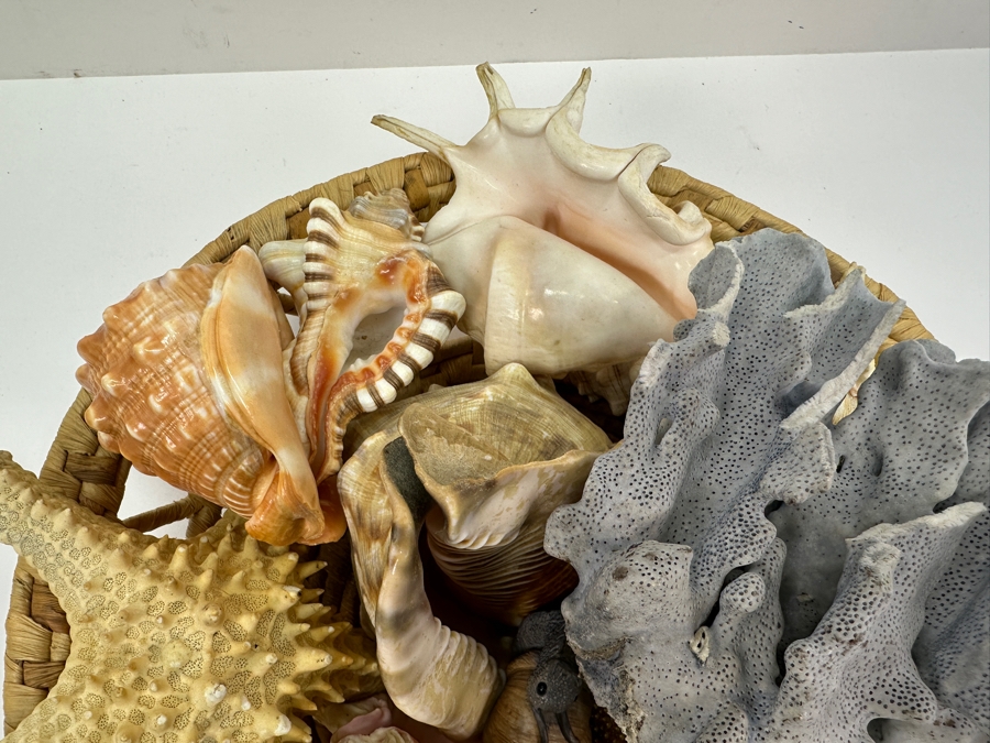 Woven Basket Filled With Organic Seashells 12'W [Photo 5]