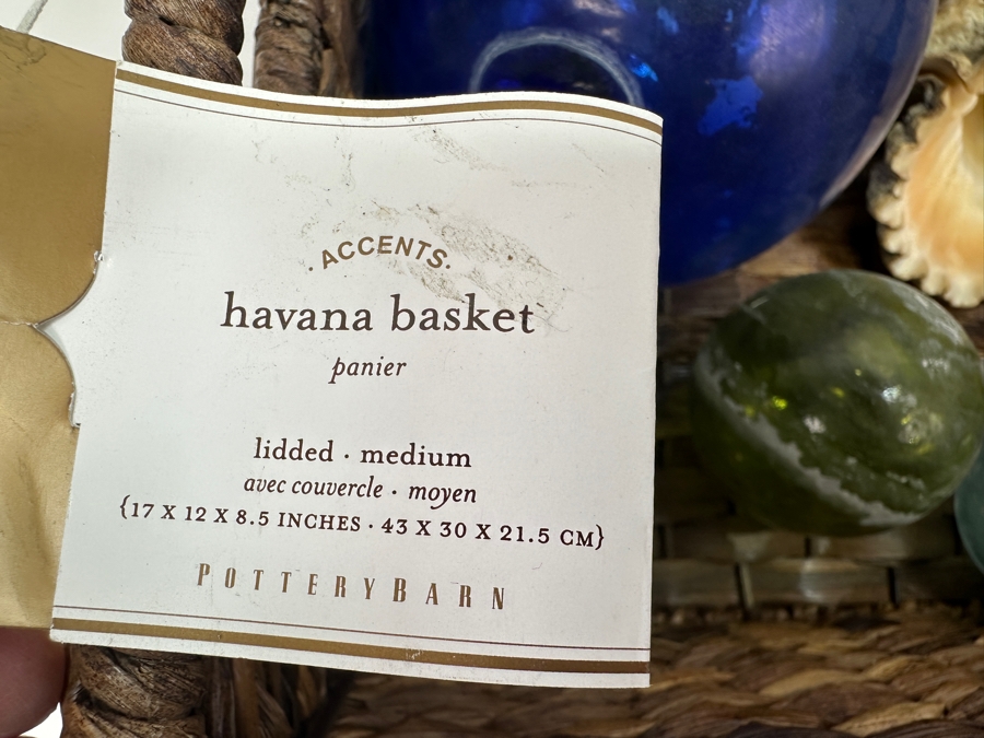Pottery Barn Havana Basket With (5) Glass Fishing Floats And Organic Seashell [Photo 7]