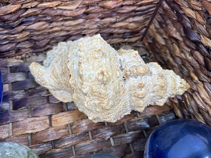 Pottery Barn Havana Basket With (5) Glass Fishing Floats And Organic Seashell [Photo 4]