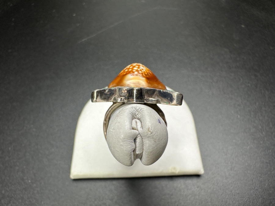 Sterling Silver Bill Lou Zuni Turquoise Cowrie Turtle Ring Size 5.75 8.5g [Photo 4]