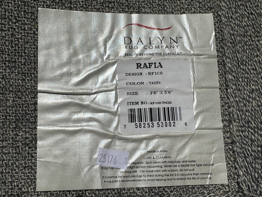 Rafia Taupe Area Rug 43 X 67 [Photo 7]