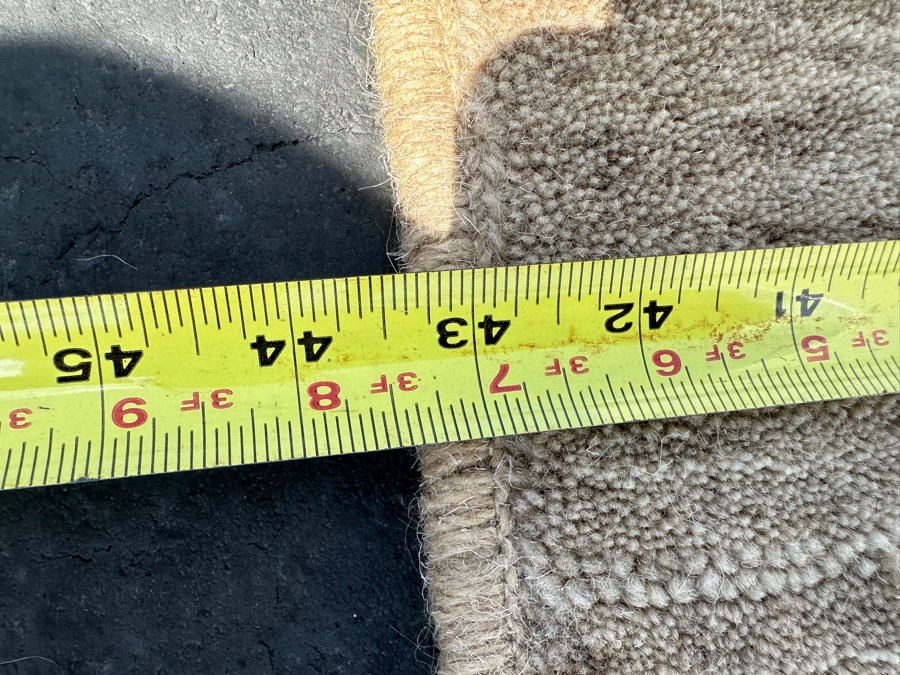 Rafia Taupe Area Rug 43 X 67 [Photo 8]