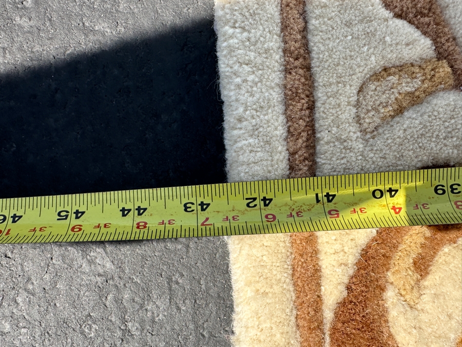 Wool Area Rug 42.5 X 65 [Photo 6]