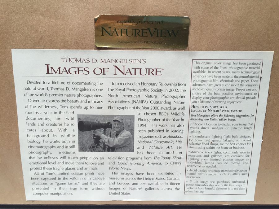 Polar Bear Photograph Thomas Mangelsen 'Breath of Light' [Photo 3]