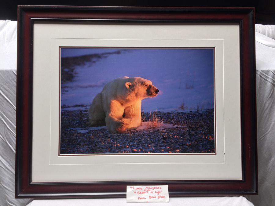 Polar Bear Photograph Thomas Mangelsen 'Breath of Light' [Photo 1]