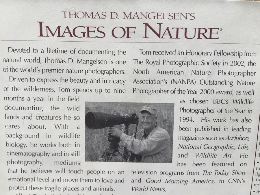 Polar Bear Photograph Thomas Mangelsen 'Breath of Light' [Photo 7]