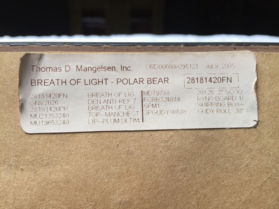 Polar Bear Photograph Thomas Mangelsen 'Breath of Light' [Photo 8]