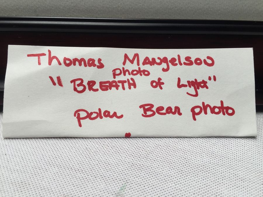 Polar Bear Photograph Thomas Mangelsen 'Breath of Light' [Photo 6]