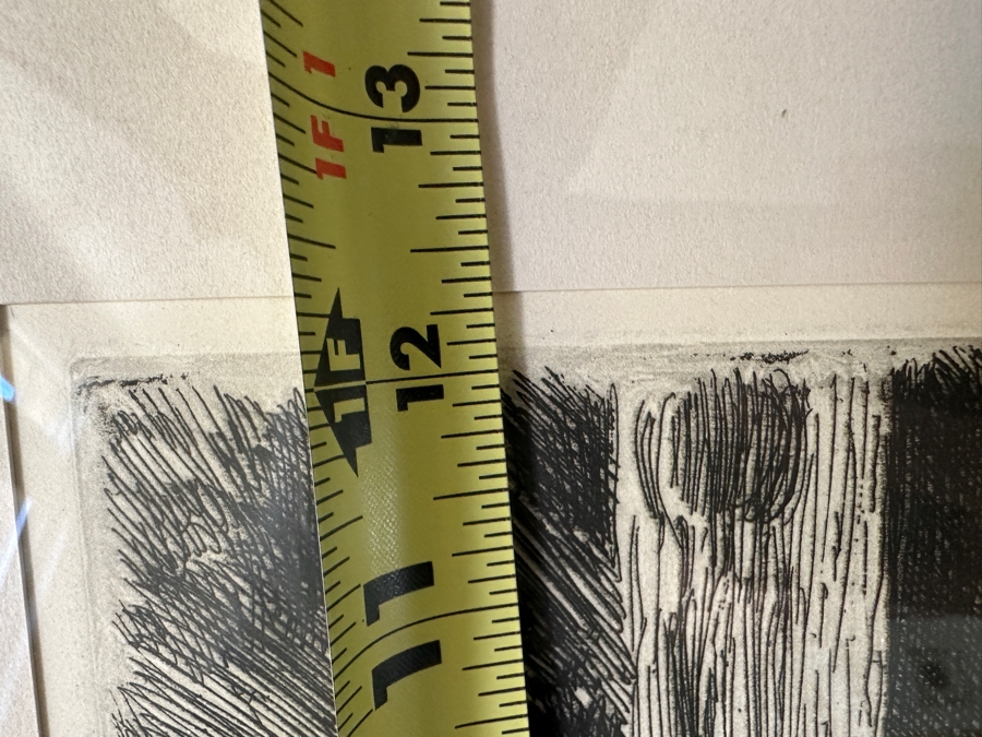 Signed Jacobi Re-Proof Etching After Anders Zorn 'Valkulla' 8 X 12 Framed 14 X 20 [Photo 10]