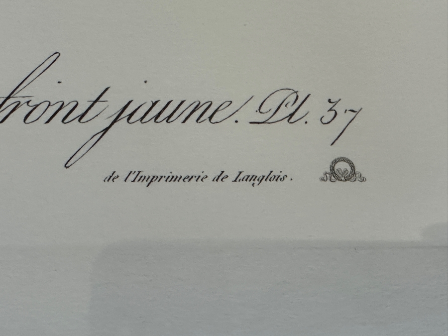 Framed Parakeet Print 21 X 26 [Photo 7]