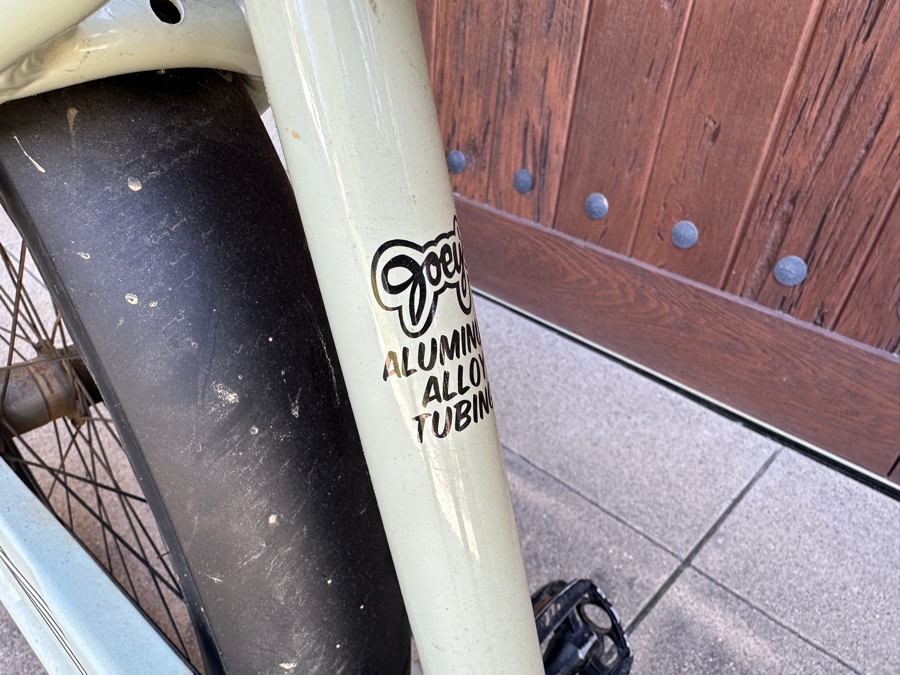 Electra Sparker Spl Aluminum Alloy Tubing Paint By Jimmy C Beach Cruiser Bicycle [Photo 5]