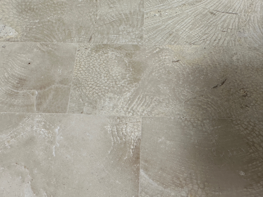 Just Added - Vintage Marquis Collection Of Beverly Hills Natural Fossil Stone Or Seashell Inlay Hand Cut Piece-By-Piece Pedestal 12W X 12D X 42H [Photo 7]