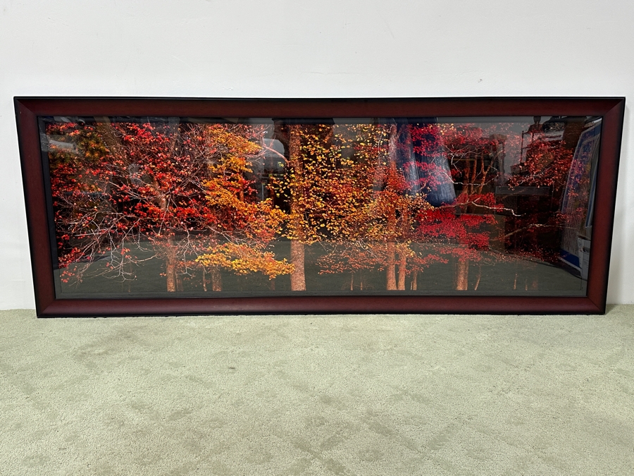 Just Added - Thomas D. Mangelsen (B. 1946, American) Colors Of The Smokies Huge Fine Art Photograph The Great Smoky Mountains National Park, Tennessee 90'W X 29'H Framed 97.5' X 36.5' (Stock Photo Shown - See Next Photo For Actual Frame) Retails $15,799 [Photo 3]