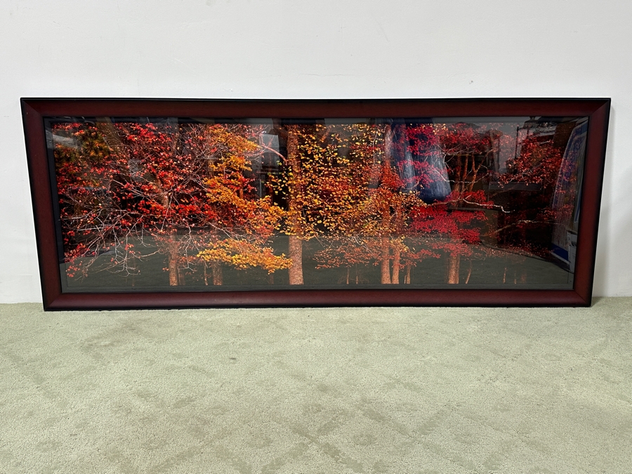 Just Added - Thomas D. Mangelsen (B. 1946, American) Colors Of The Smokies Huge Fine Art Photograph The Great Smoky Mountains National Park, Tennessee 90'W X 29'H Framed 97.5' X 36.5' (Stock Photo Shown - See Next Photo For Actual Frame) Retails $15,799 [Photo 2]
