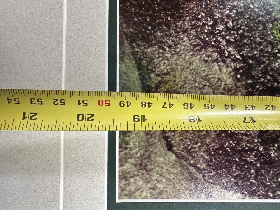 Just Added - Thomas D. Mangelsen (B. 1946, American) Colorado River Spring Fine Art Photograph Royal Arch Creek, Grand Canyon, Arizona 20'W X 30'H Framed 30.5' X 40.5' Retails $1,899 [Photo 14]