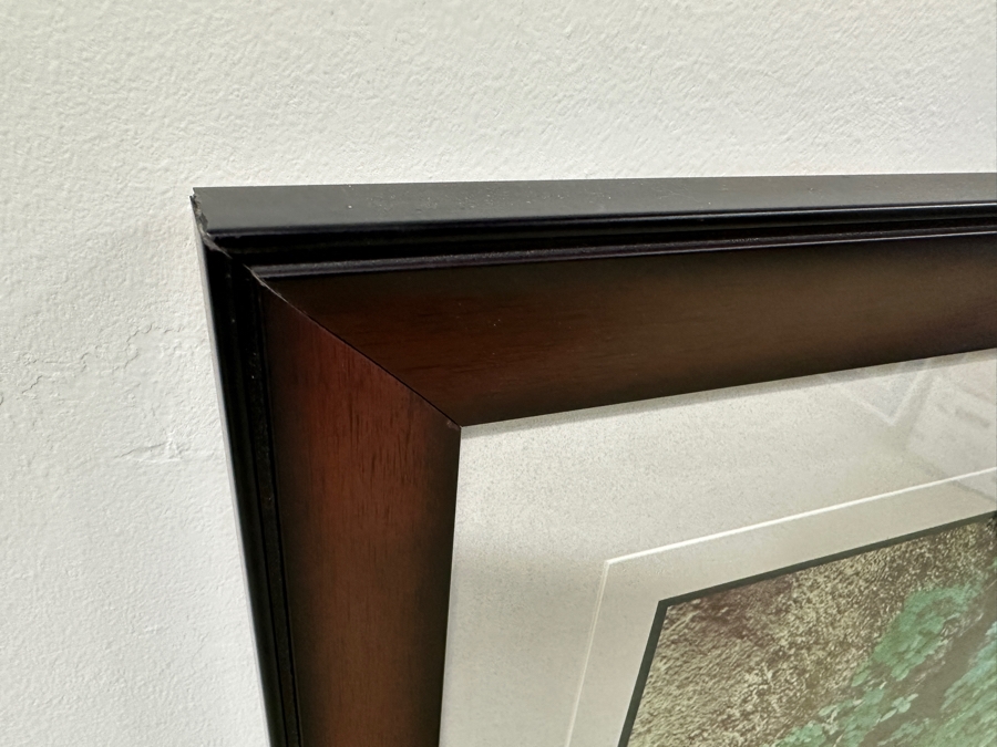 Just Added - Thomas D. Mangelsen (B. 1946, American) Colorado River Spring Fine Art Photograph Royal Arch Creek, Grand Canyon, Arizona 20'W X 30'H Framed 30.5' X 40.5' Retails $1,899 [Photo 4]