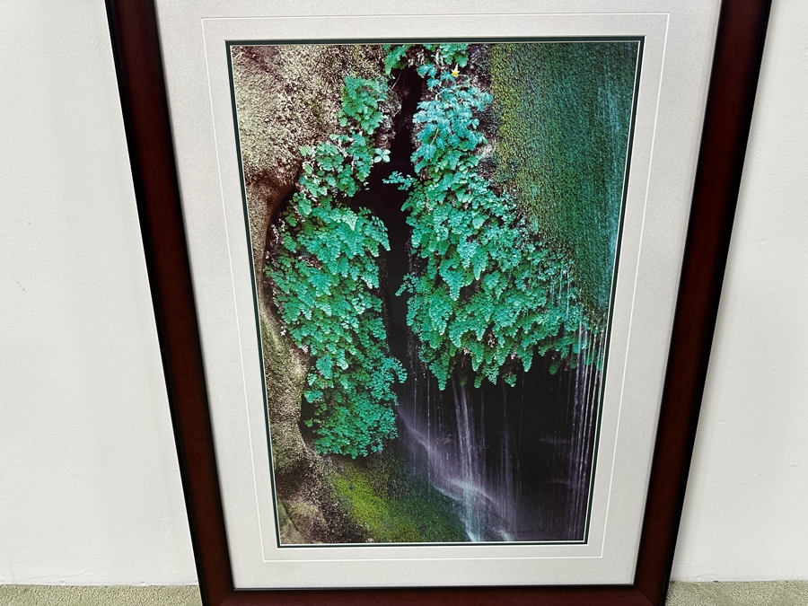 Just Added - Thomas D. Mangelsen (B. 1946, American) Colorado River Spring Fine Art Photograph Royal Arch Creek, Grand Canyon, Arizona 20'W X 30'H Framed 30.5' X 40.5' Retails $1,899 [Photo 3]