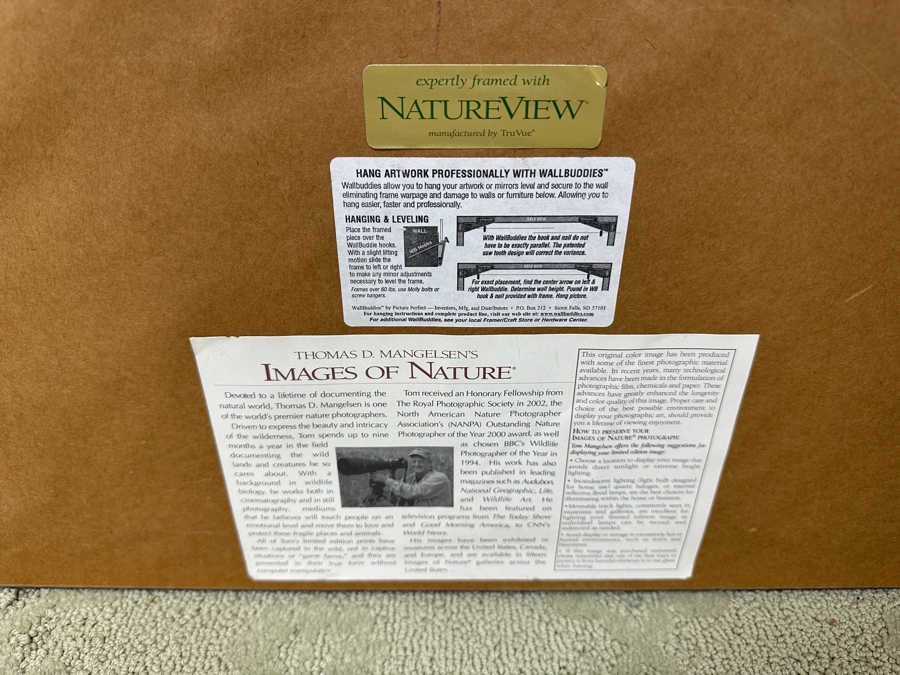 Just Added - Thomas D. Mangelsen (B. 1946, American) Colorado River Spring Fine Art Photograph Royal Arch Creek, Grand Canyon, Arizona 20'W X 30'H Framed 30.5' X 40.5' Retails $1,899 [Photo 6]