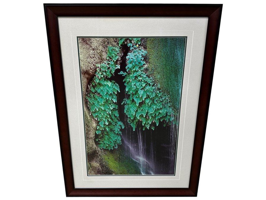 Just Added - Thomas D. Mangelsen (B. 1946, American) Colorado River Spring Fine Art Photograph Royal Arch Creek, Grand Canyon, Arizona 20'W X 30'H Framed 30.5' X 40.5' Retails $1,899