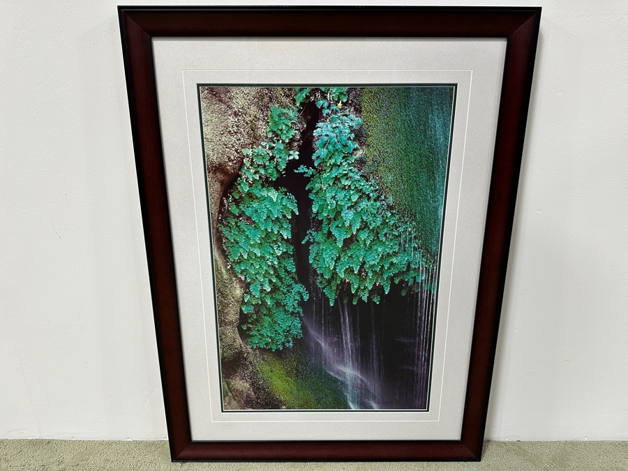 Just Added - Thomas D. Mangelsen (B. 1946, American) Colorado River Spring Fine Art Photograph Royal Arch Creek, Grand Canyon, Arizona 20'W X 30'H Framed 30.5' X 40.5' Retails $1,899 [Photo 2]