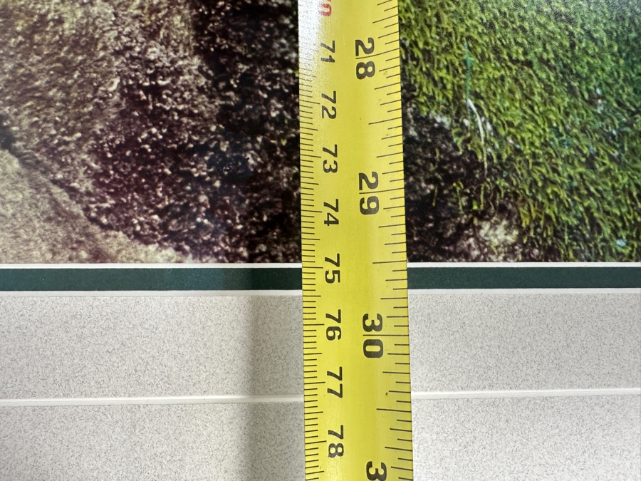 Just Added - Thomas D. Mangelsen (B. 1946, American) Colorado River Spring Fine Art Photograph Royal Arch Creek, Grand Canyon, Arizona 20'W X 30'H Framed 30.5' X 40.5' Retails $1,899 [Photo 15]