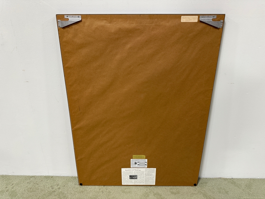 Just Added - Thomas D. Mangelsen (B. 1946, American) Colorado River Spring Fine Art Photograph Royal Arch Creek, Grand Canyon, Arizona 20'W X 30'H Framed 30.5' X 40.5' Retails $1,899 [Photo 5]